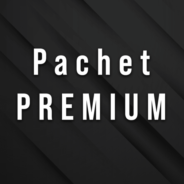 LOGO DESIGN PACHET PREMIUM