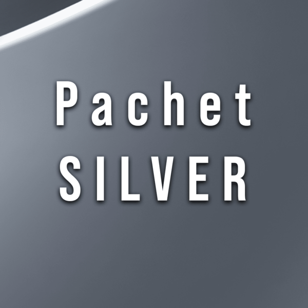 LOGO DESIGN PACHET SILVER